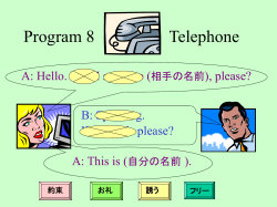 Program 8 Telephone