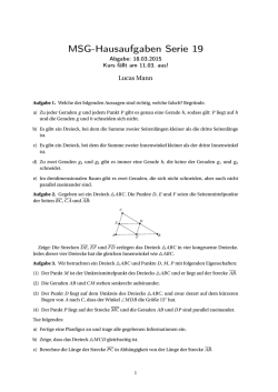 MSG-Hausaufgaben Serie 19 - Mathematik und ihre Didaktik