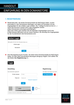 HANDOUT EINF&Uuml;HRUNG IN DEN DOMAINSTORE