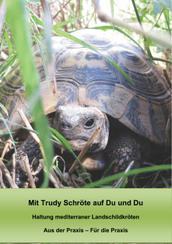 Mit Trudy Schröte auf Du und Du - Schildkrötenhilfe Unterfranken