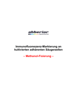 Methanol-Fixierung