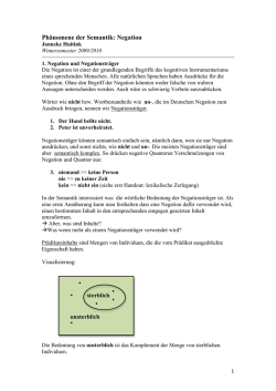 Phänomene der Semantik: Negation