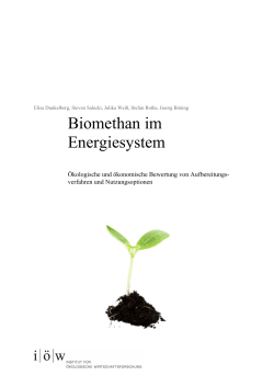 Biomethan im Energiesystem - Institut für ökologische