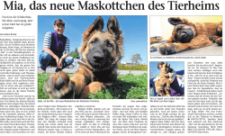 lesen - Tierheim Sonneberg