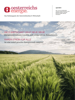 die e-wirtschaft geht neue wege