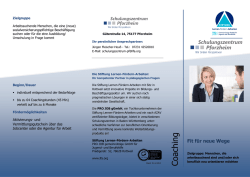 Infoflyer - Die Stiftung Lernen-F&ouml;rdern