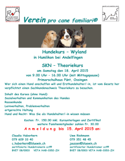 SKN Theorie Januar Flyer 2015