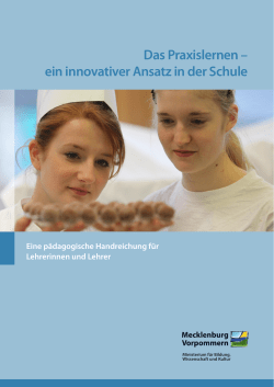 Das Praxislernen – ein innovativer Ansatz in der Schule