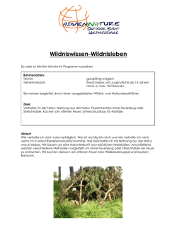Hindenburgstrasse 12- D-38700 Braunlage