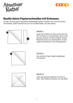 Papierflieger mit Schwanz
