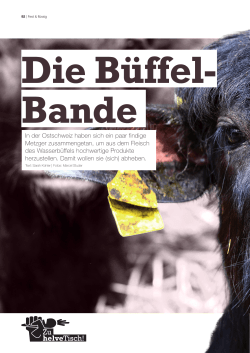 (Wasser-)Büffel-Bande_Salz & Pfeffer Nr. 3 – Mai_Juni 2015
