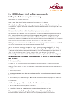 Kundeninfo Sattelservice