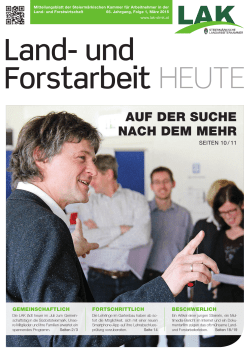 AUF DER SUCHE NACH DEM MEHR