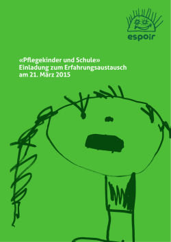 Doku Titel zweite Zeile &laquo;Pflegekinder und Schule