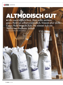 altmodisch gut - Mühle Zeddenbach