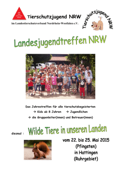 Infoflyer Landesjugendtreffen 2015