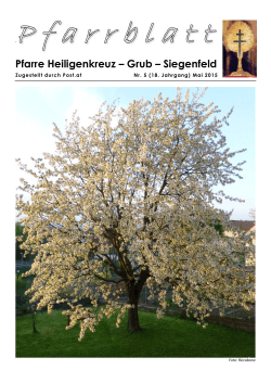 Pfarre Heiligenkreuz – Grub – Siegenfeld