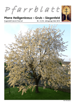 Pfarre Heiligenkreuz &ndash; Grub &ndash; Siegenfeld