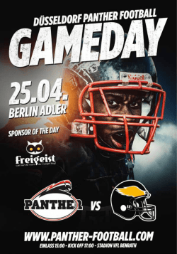 4 - Düsseldorf Panther