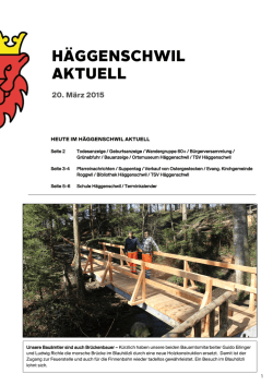 HA_Nr._11_vom_20.03.2015