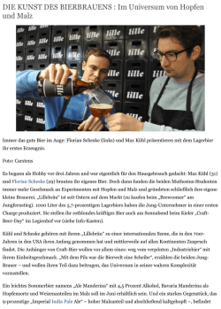 Lillebr&auml;u auf shz.de