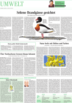 Die TZ-Umweltseite vom 4. April 2015