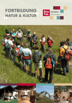 hier in der PDF! - &Ouml;tzi-Dorf
