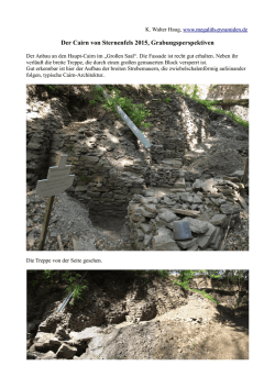 Haug, Walter - 12.06.15 Der Cairn von Sterne