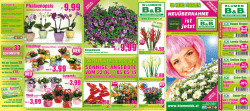 ist jetzt - Blumen B&B