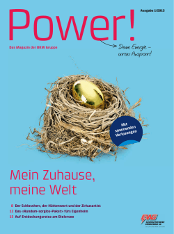 Magazin - Elektrizitätswerk Grindelwald AG
