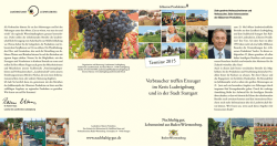 Gl&auml;serne Produktion 2015