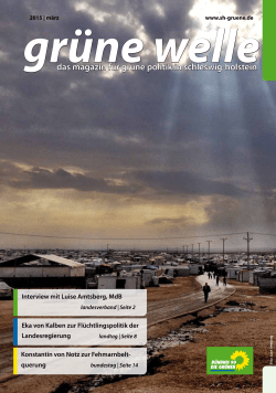 Gr&uuml;ne Welle - M&auml;rzausgabe - GR&Uuml;NE Fraktion Schleswig