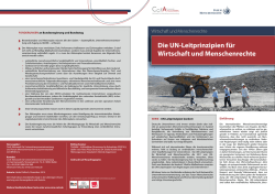 Die UN-Leitprinzipien f&uuml;r Wirtschaft und Menschenrechte
