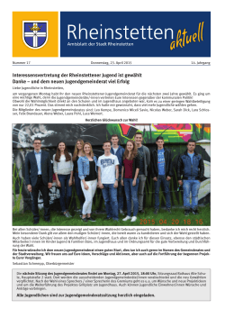 Interessensvertretung der Rheinstettener Jugend ist gewählt Danke