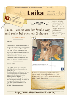 Laika – wollte von der Straße weg und sucht bei euch ein Zuhause
