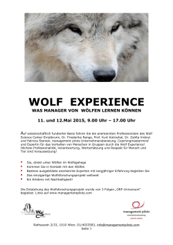 WOLF EXPERIENCE