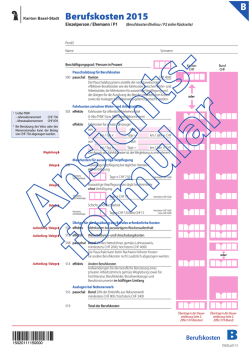 Formular B Berufskosten (Ansichtsformular)