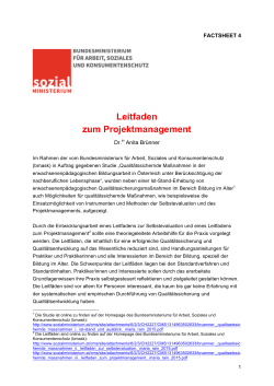 Factsheet 4. Leitfaden zum Projektmanagement. Wien 2015 (PDF