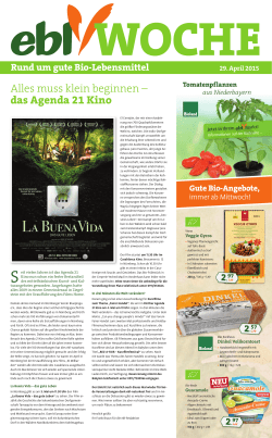 Alles muss klein beginnen – das Agenda 21 Kino - Ebl
