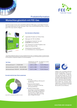 Produktblatt FEE-Gas - Fulda