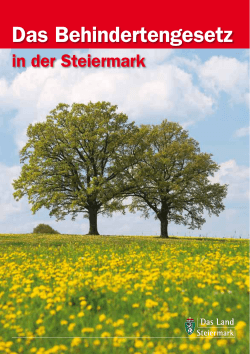 Broschüre - Sozialserver Land Steiermark