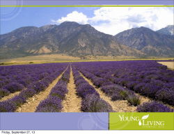Golden Touch I und II - Young Living