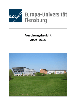 Forschungsbericht 2008-2013