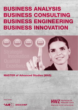 MAS Business Analysis / Consulting / Engineering / Innovation