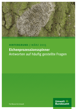 Eichenprozessionsspinner - Antworten auf