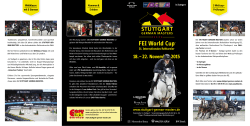 Flyer 2015  - Stuttgart German Masters