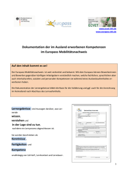 Dokumentation der im Ausland erworbenen Kompetenzen