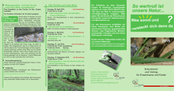 Flyer 2015 (PDF | 4,1 MB) - Kreis Groß