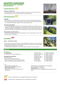 Gruppen F&uuml;hrunGen - Lingenau im Bregenzerwald