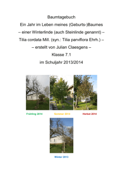 BaumtagebuchSJ 13_14 Julian Claesgens